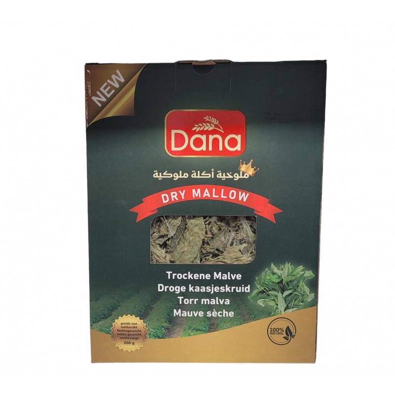 Dana Molokhia