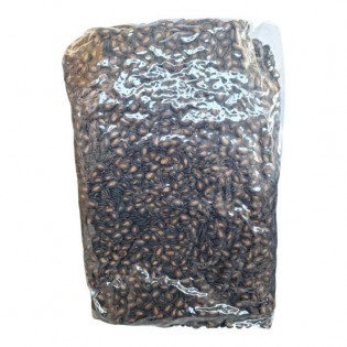 ميلا بزر اسود_5kg
