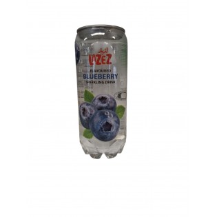 لذيذ مياه غازية بنكهة بلوبيري_ 24x350ml