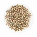 دانة لاتار محشي شوكولا_14x400g