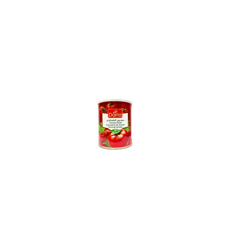 Dana Tomato Paste