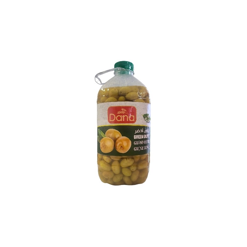 دانة زيتون بلاستيك _4x3250g