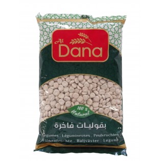 Dana Sweet lupine